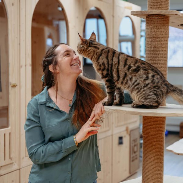 Espace détente et cocooning, pension pour chat Biot
