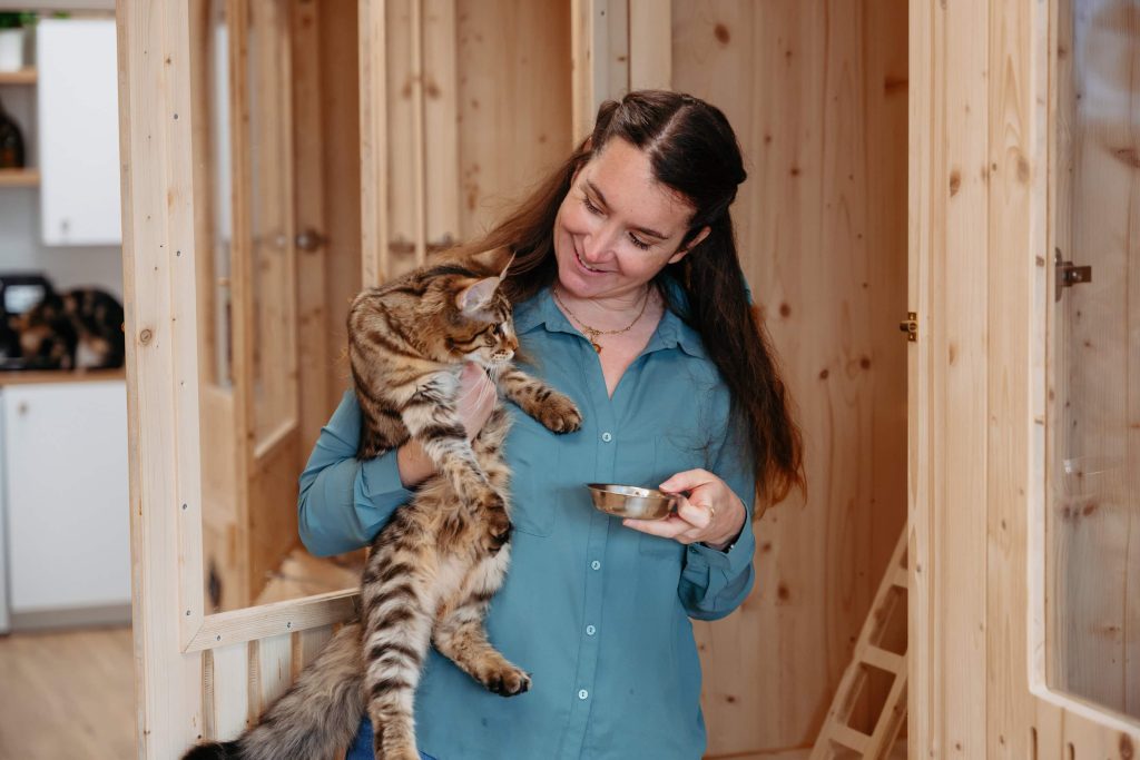 Espace jeux et grimpe pour chats