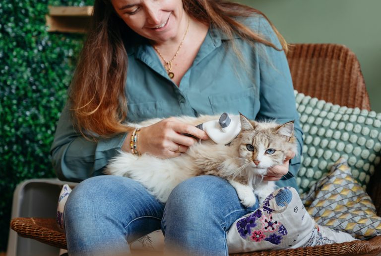 Soins et amour, Fluffy Cat Hotel